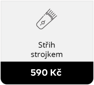 Brno střih strojkem 2023